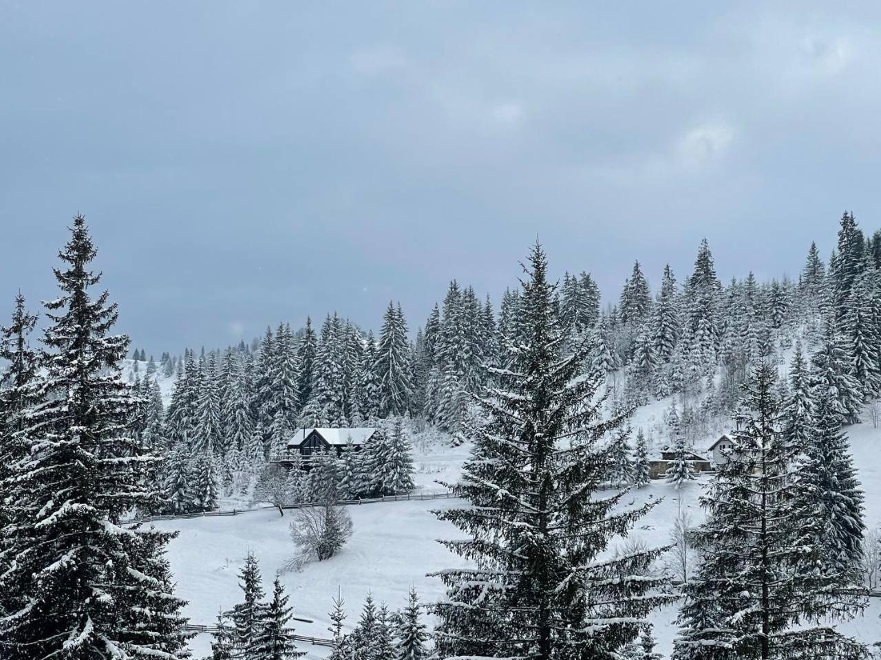 Aparthotel Kazka Jablunyzja Exterior foto